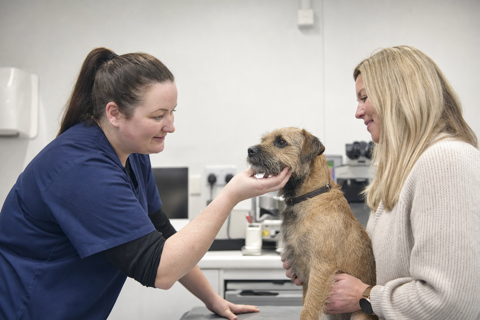 Pet Travel Tips for Kent Pet Owners