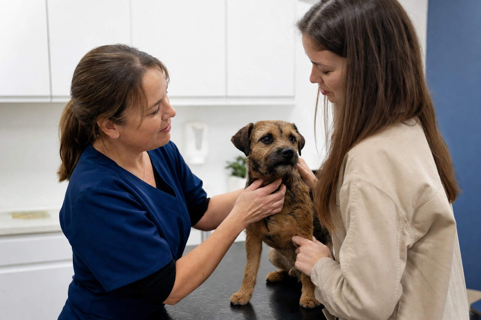 The Cost of Owning a Pet in Kent