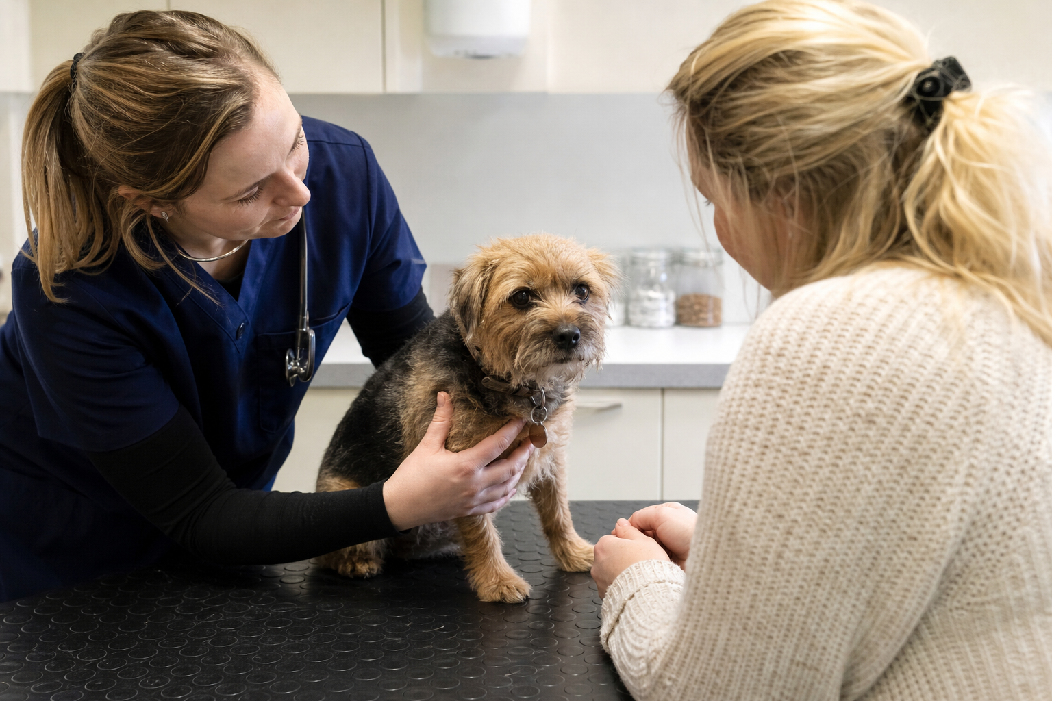 Why Regular Vet Visits Save Money